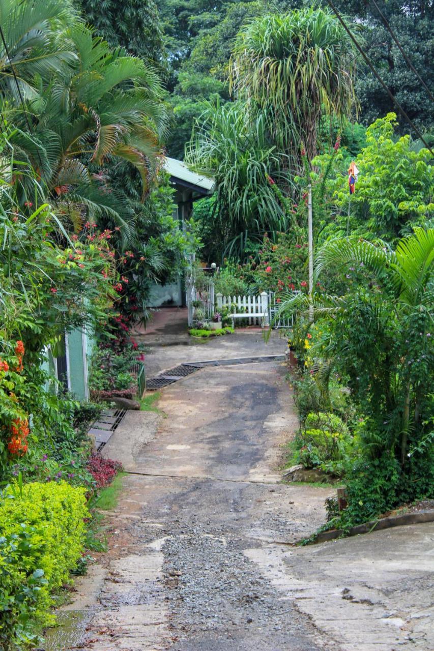 New Nethmi Villa Kandy Exteriör bild